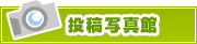投稿写真館 | タウンガイド川崎